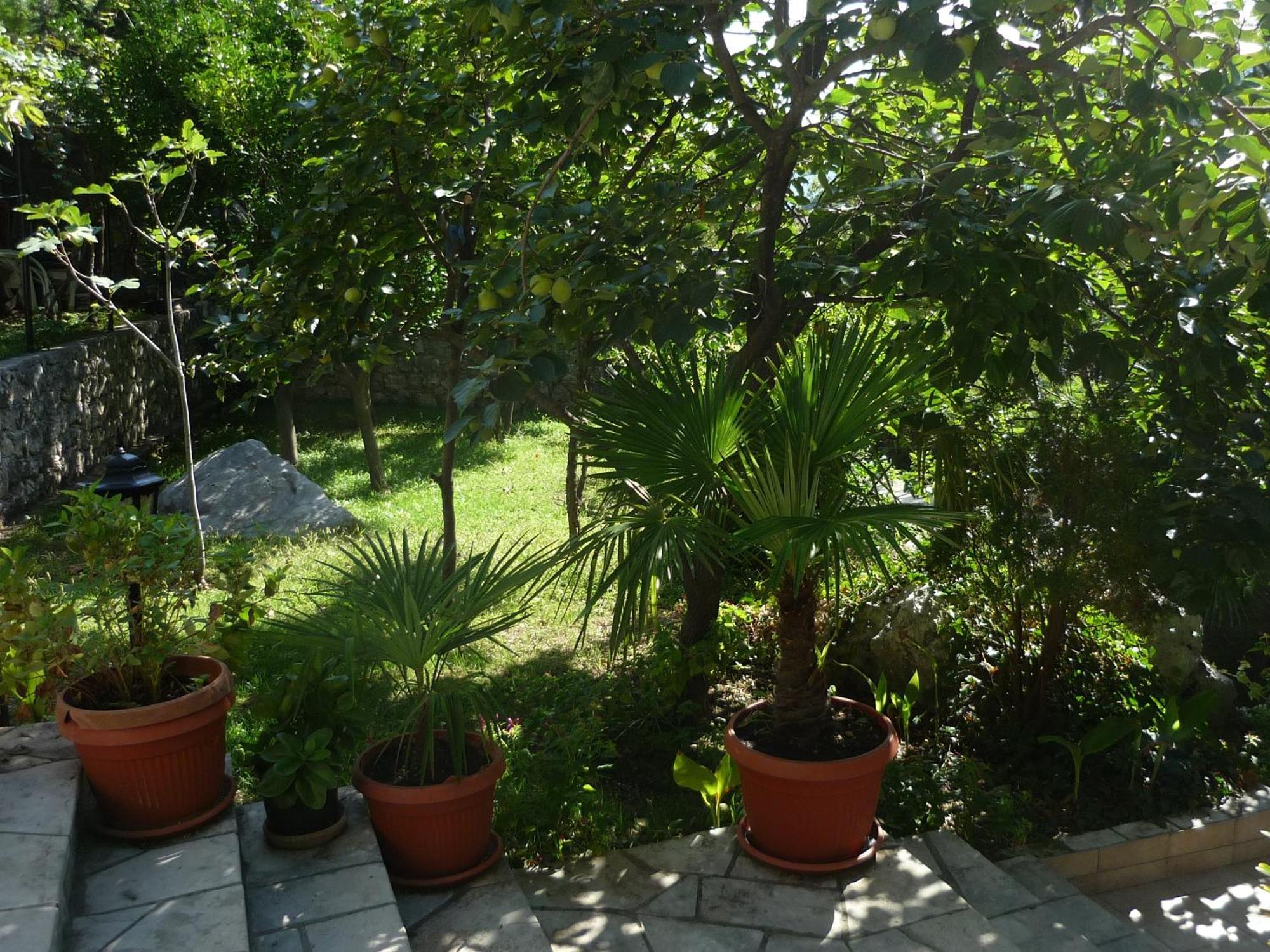 קוטור Apartments Villa Pm מראה חיצוני תמונה